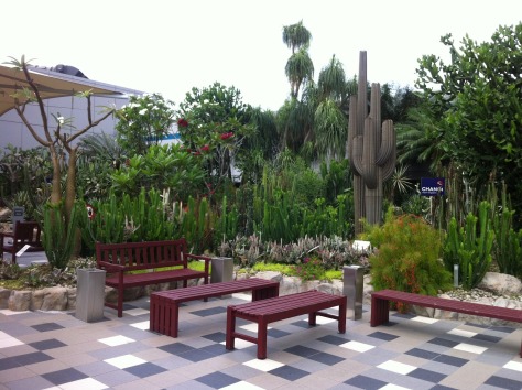 Cactus Garden
