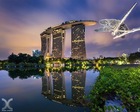 Dragonfly Lake, Gardens by the bay