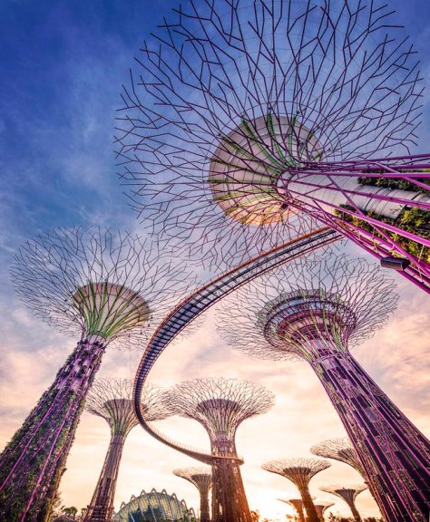 OCBC Skyway, Gardens by the bay