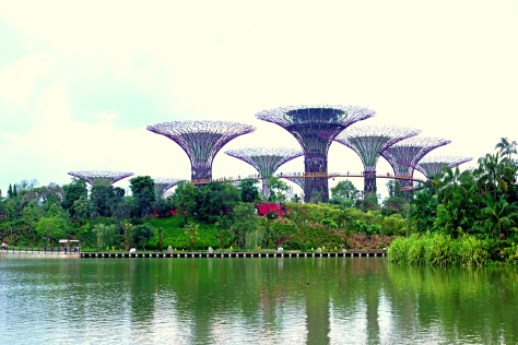 Supertree_Grove_and_Dragonfly_Lake,_Gardens_by_the_Bay,_Singapore_-_20120617-02